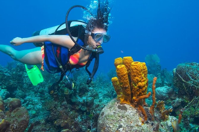 Professional Scuba Diving Boat Trip With Lunch and Transfer – Hurghada - Lunch, drinks, and the long Red Sea break