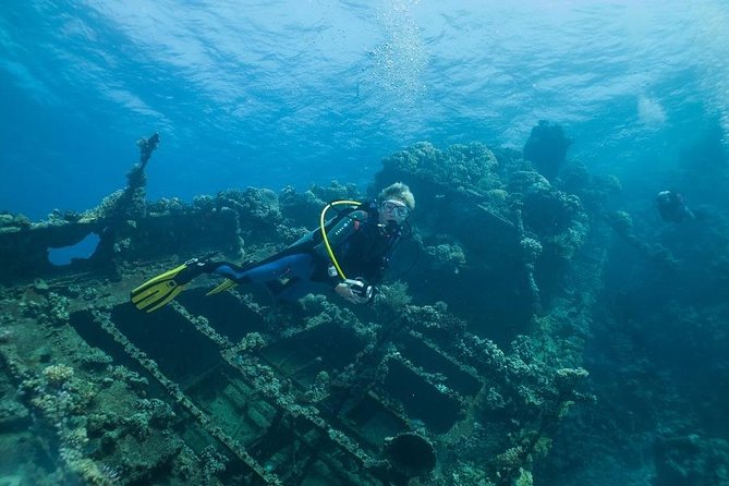 Professional Scuba Diving Boat Trip With Lunch and Transfer – Hurghada - What the $28 price really covers