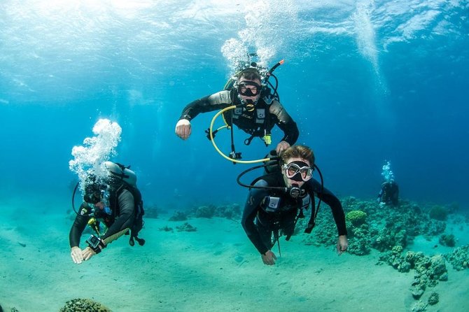 Professional Scuba Diving Boat Trip With Lunch and Transfer – Hurghada - The crew, the concerns, and the overall standard