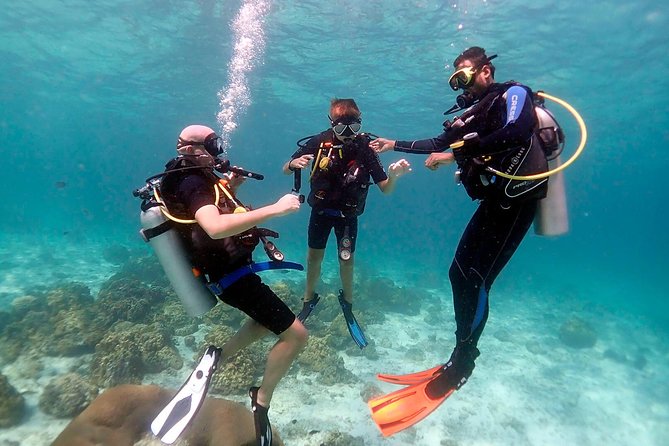 Professional Scuba Diving Full Day Trip With Transfer – Hurghada - Key points to know before booking