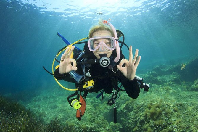 Professional Scuba Diving Full Day Trip With Transfer – Hurghada - Who will enjoy this Hurghada scuba outing?