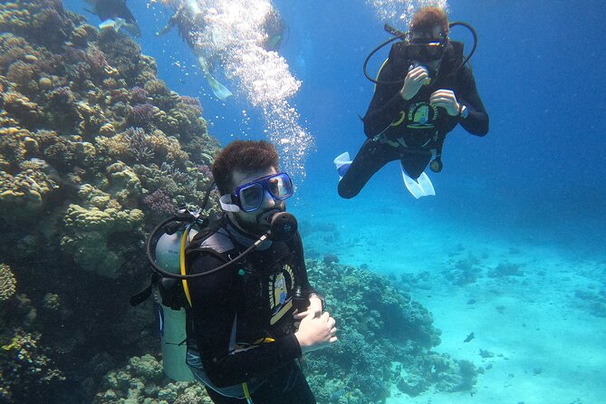 Professional Scuba Diving Trip in Hurghada with Lunch - Why Hurghada works so well for underwater photography