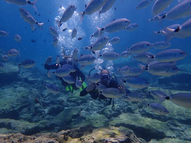 Protaras: 3-4 Day PADI Open Water Diver in Protaras - Key points to know before you book