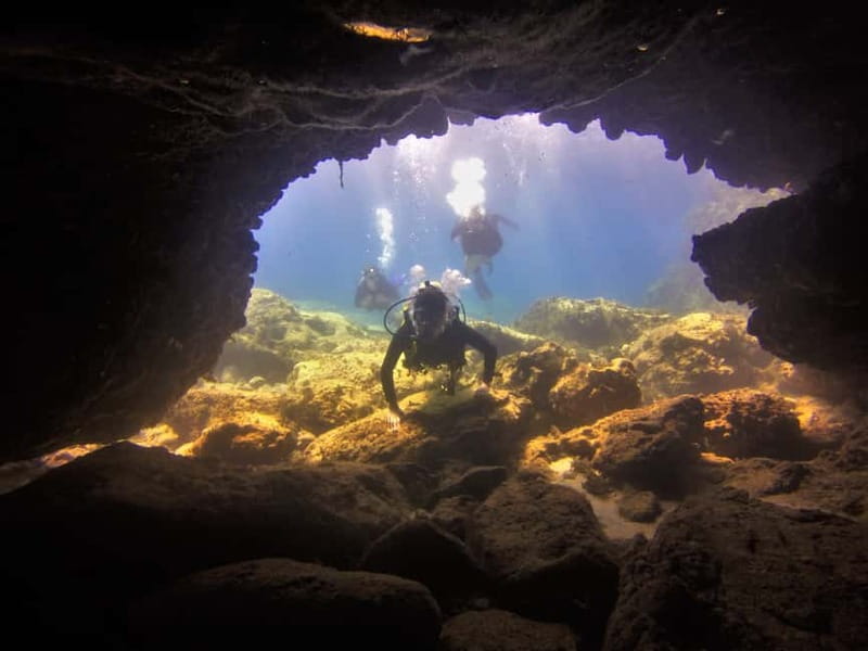 Protaras: Cape Grecko Single Dive for Qualified Divers - Key points at a glance