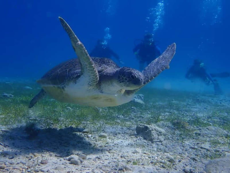 Protaras: Cape Grecko Single Dive for Qualified Divers - The ride to a shore site
