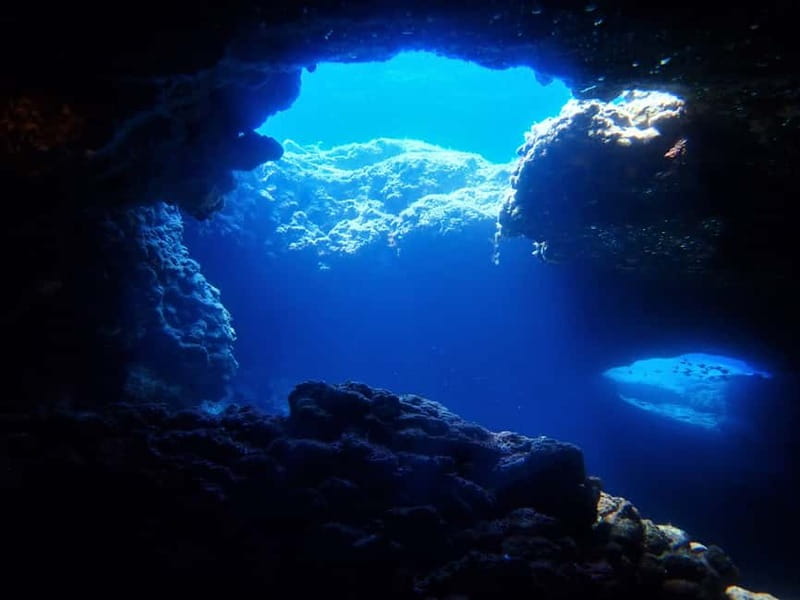 Protaras: Cape Grecko Single Dive for Qualified Divers - What the guided underwater session is like