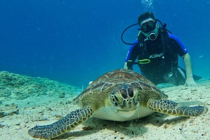 Protaras: Discover Scuba Diving For Beginners 2 Dives - Key points to know before booking