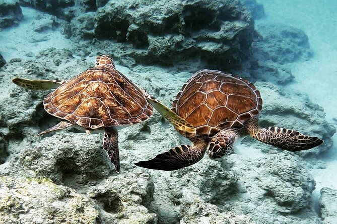 Protaras: Discover Scuba Diving For Beginners 2 Dives - Booking and cancellation details