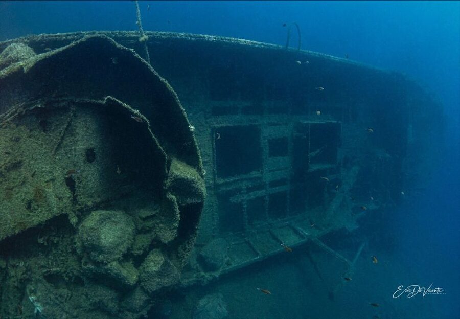 Puerto del Carmen: 2 Guided Scuba Dives (certified only) - What the two underwater sessions are like