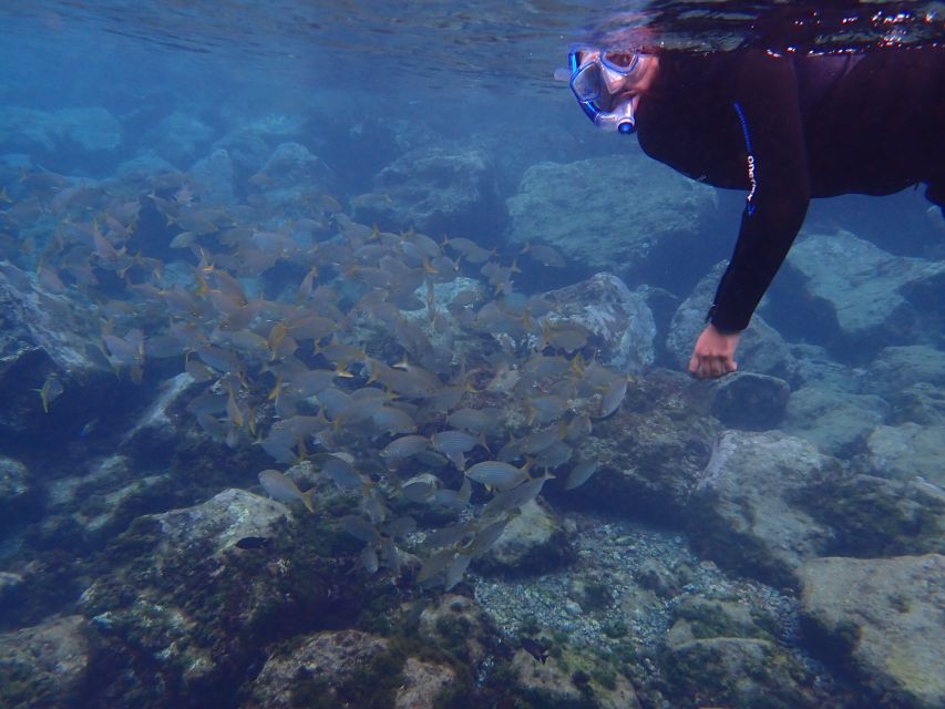 Puerto del Carmen: Snorkeling Trip with Dive Instructor - Booking details that can save your morning