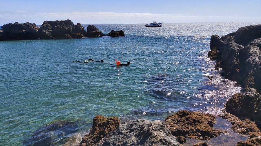 Puerto del Carmen: Snorkeling Trip with Dive Instructor - Patient guides make the biggest difference