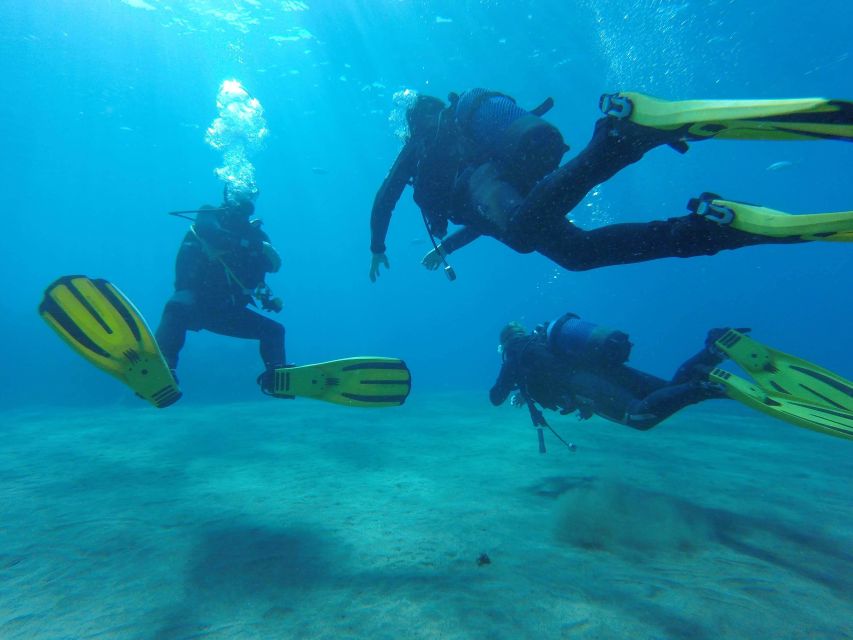 Puerto del Carmen: Try Scuba Diving for Beginners - Who Will Get the Most From This Activity?
