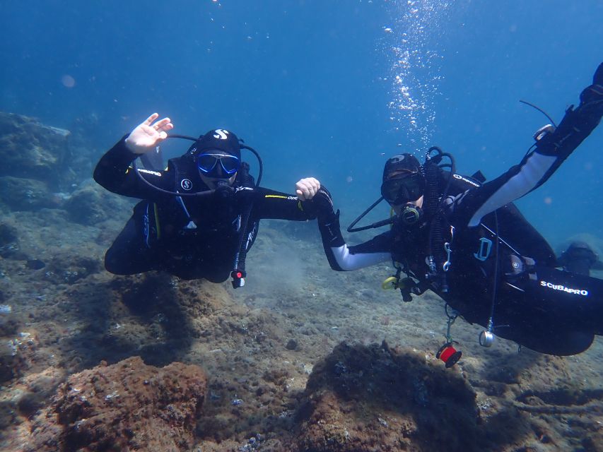 Puerto del Carmen: Try Scuba Diving from the beach - Key points at a glance