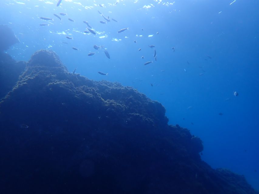 Puerto del Carmen: Try Scuba Diving from the beach - What the $118 price includes