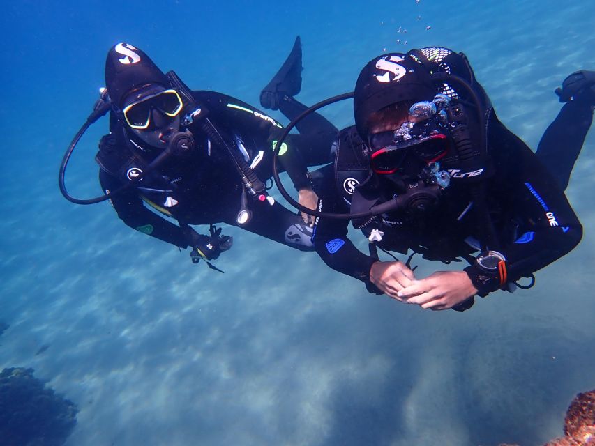 Puerto del Carmen: Try Scuba Diving from the beach - Who will enjoy this experience most