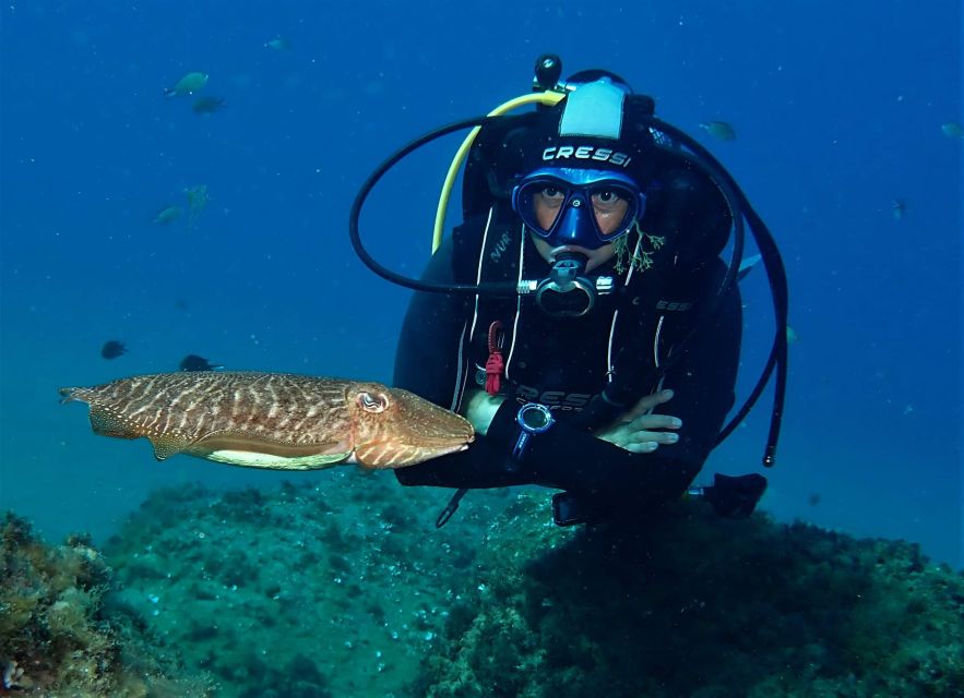 Puerto Del Carmen: Try Scuba Diving with 2 Dives and Photos - Key points at a glance