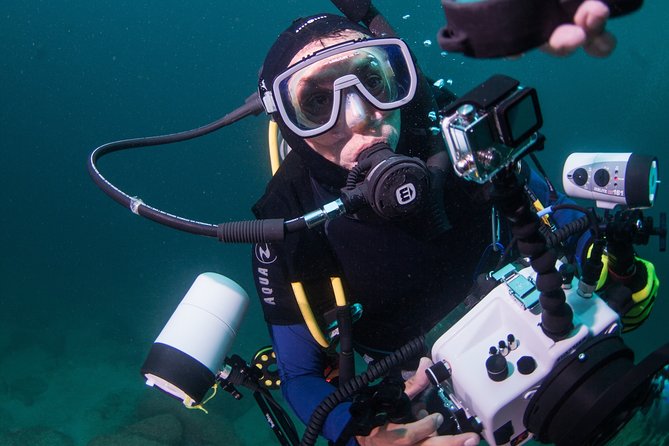 Puerto Vallarta Undersea Private Scuba Diving - Why a private boat changes the day