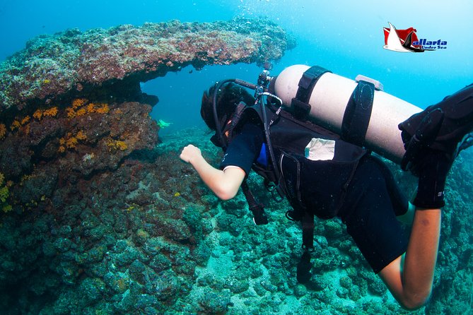 Puerto Vallarta Undersea Private Scuba Diving - Los Arcos de Mismaloya: close-to-shore water time