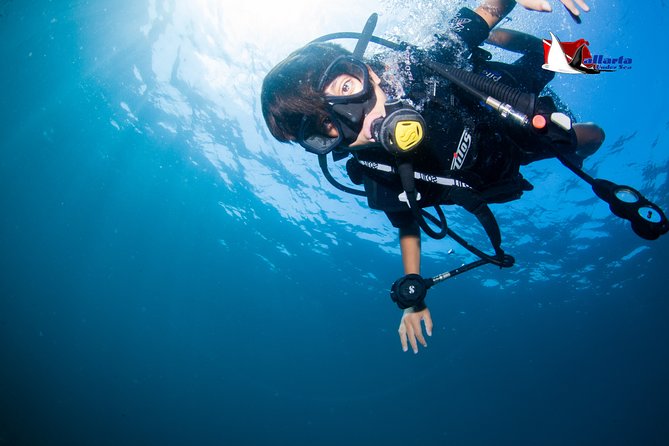 Puerto Vallarta Undersea Private Scuba Diving - What the crew does well