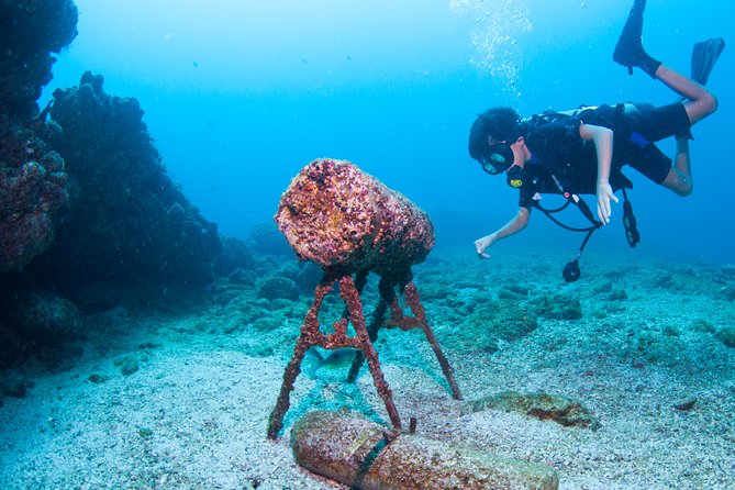Puerto Vallarta Undersea Private Scuba Diving - Price, inclusions, and real value