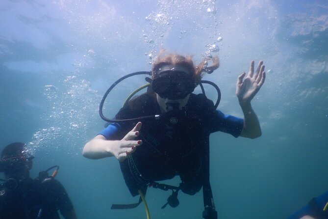 Pula Discover Scuba Diving Package - Starting at Park Plaza Histria at 10 a.m.