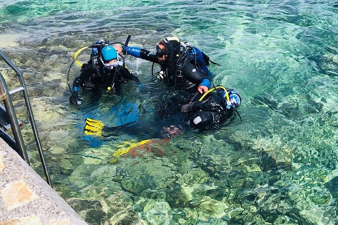 Pula Discover Scuba Diving Package - The second descent goes as far as 10 meters