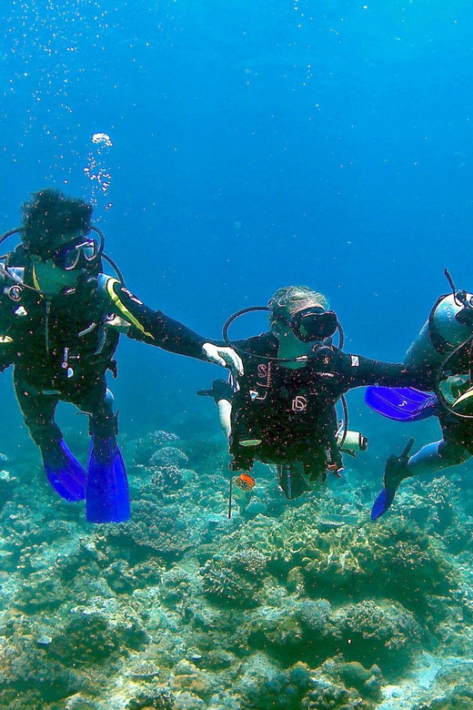 Pula: Introduction to Scuba Diving - How the instructors shape the experience