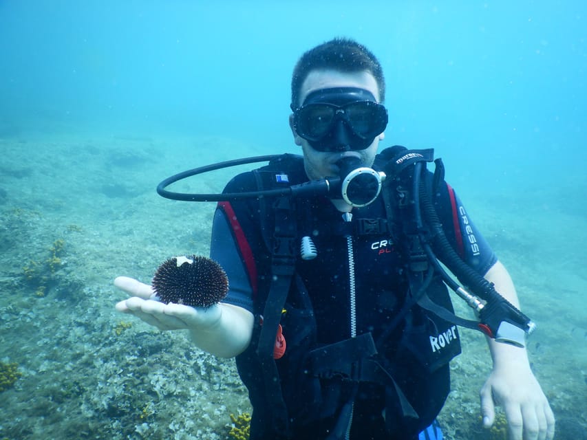 Pula: Private Introduction to Scuba Diving - Weather can change the plan