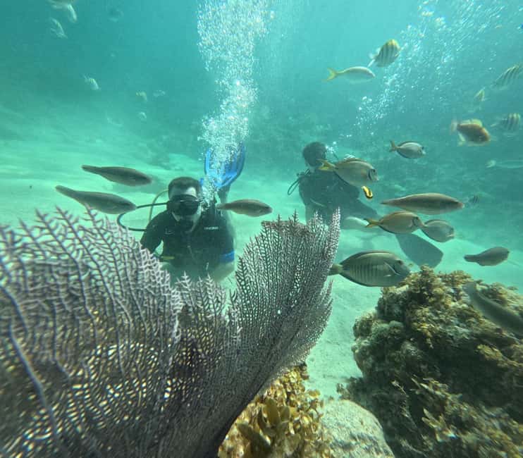 Punta Cana: Discover Scuba Diving Experience for Beginners - A calm introduction to scuba in Punta Cana