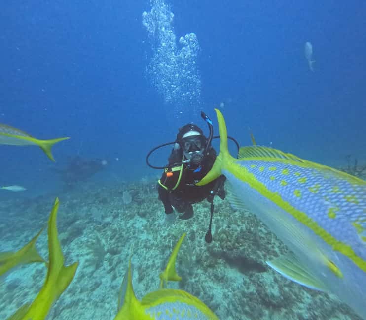 Punta Cana: Discover Scuba Diving Experience for Beginners - The 25-minute ride to the reef