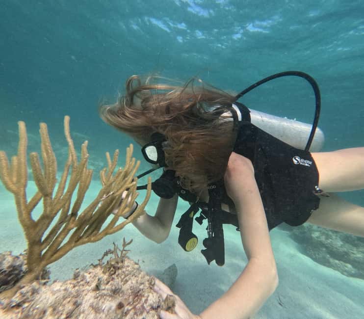 Punta Cana: Discover Scuba Diving Experience for Beginners - Descending to 12 meters
