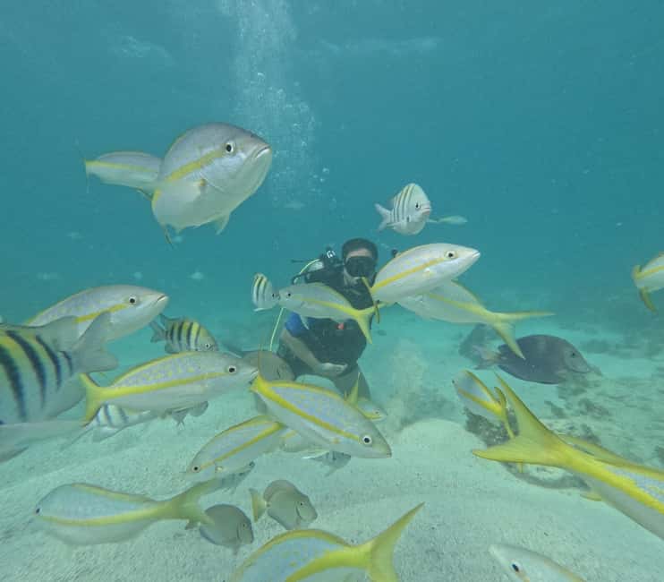 Punta Cana: Discover Scuba Diving Experience for Beginners - Starting at Dolin Dive Center