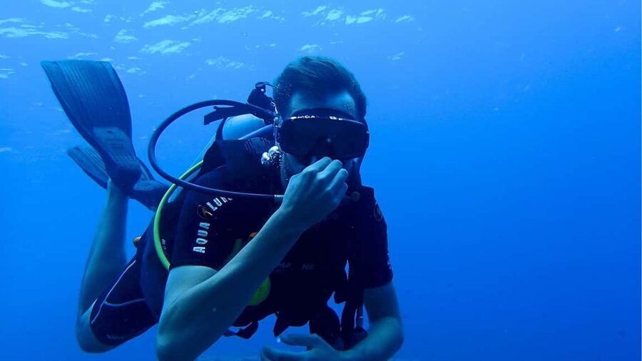 Punta Cana: Dive the Coral Paradise of Catalina Island - El Muro, the serious underwater stop