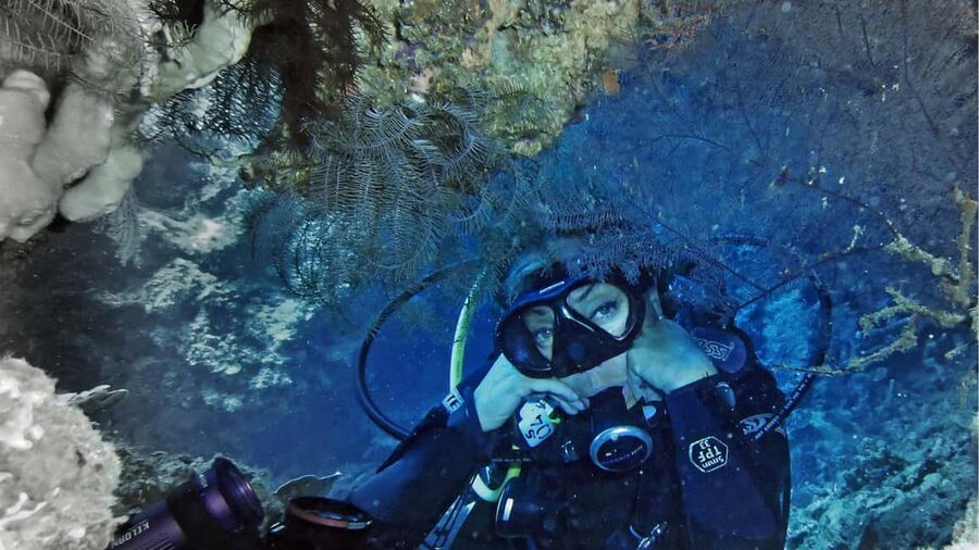 Punta Cana: Dive the Coral Paradise of Catalina Island - El Acuario, the easygoing reef stop