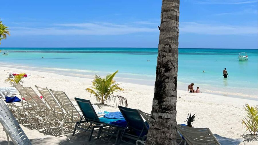 Punta Cana: Dive the Coral Paradise of Catalina Island - Why Catalina Island feels different