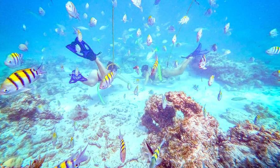 Punta Cana: Guided Power Dive Adventure - What this Punta Cana boat trip actually offers