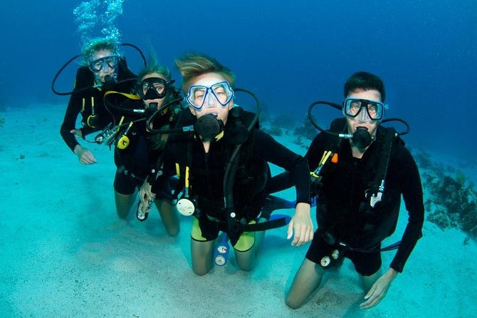 Punta Cana: PADI Open Water Scuba Certification (2–3 Days) - Key Points Before You Book