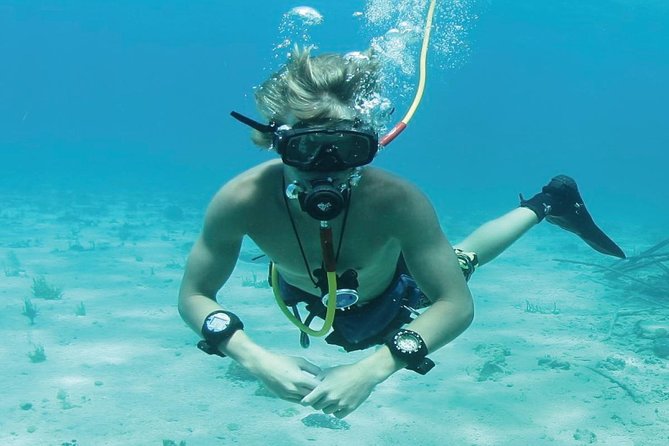 Punta Cana Party Cruise with Snorkeling, Hooka Diving and Parasailing - Snorkeling Along Punta Cana’s Reef