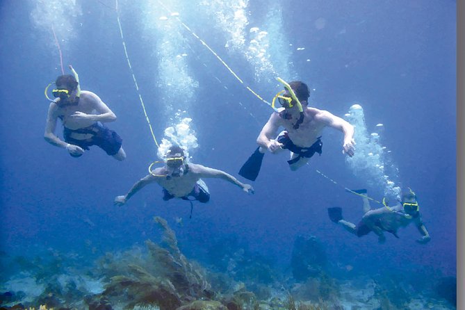 Punta Cana Party Cruise with Snorkeling, Hooka Diving and Parasailing - The Crew Makes a Big Difference