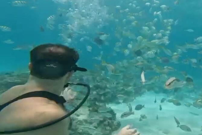 Punta Cana Party Cruise with Snorkeling, Hooka Diving and Parasailing - Hotel Pickup and the 2:00 pm Start