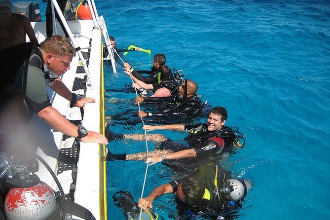 Punta Cana Reef Diving Adventure Explore Underwater Wonders - Getting comfortable with scuba gear