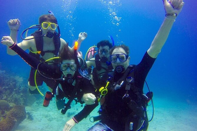 Punta Cana Reef Diving Adventure Explore Underwater Wonders - Snorkeling and hookah equipment give you options