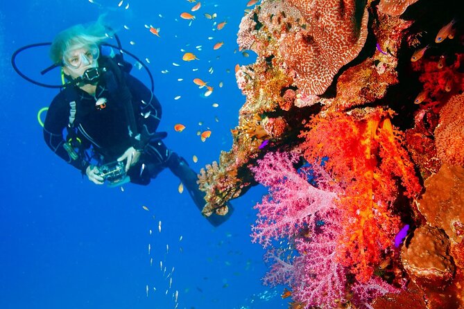 Punta Cana Reef Diving Adventure Explore Underwater Wonders - The return trip becomes a boat party