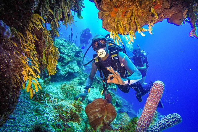 Punta Cana Reef Diving Adventure Explore Underwater Wonders - Is $130 a fair price?