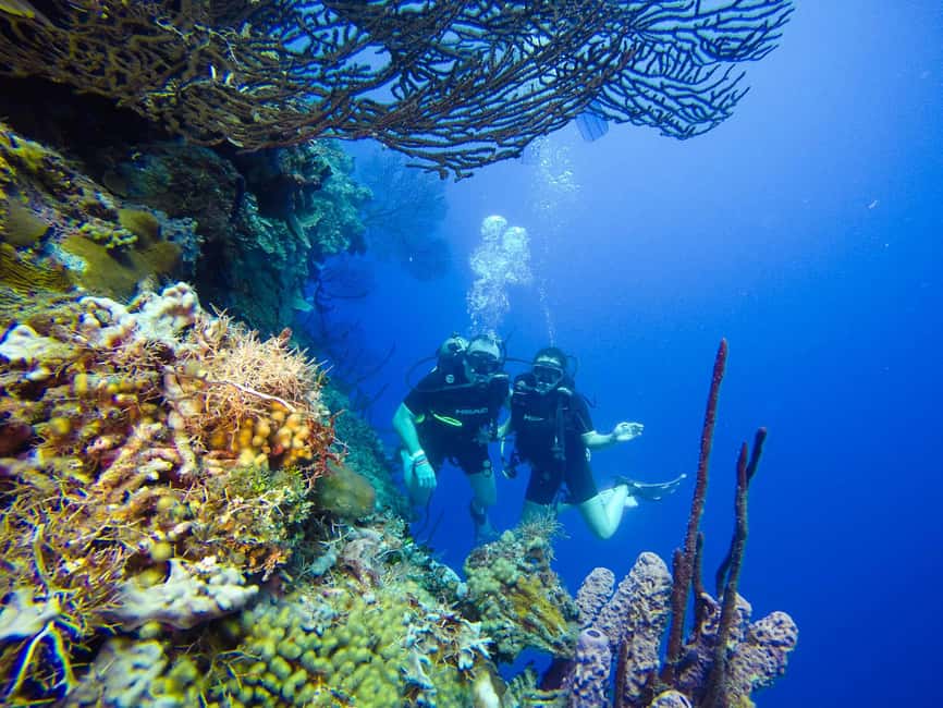 Punta Cana: Scuba Diving Adventure to Catalina Island - Catalina Island beach time after the scuba sessions