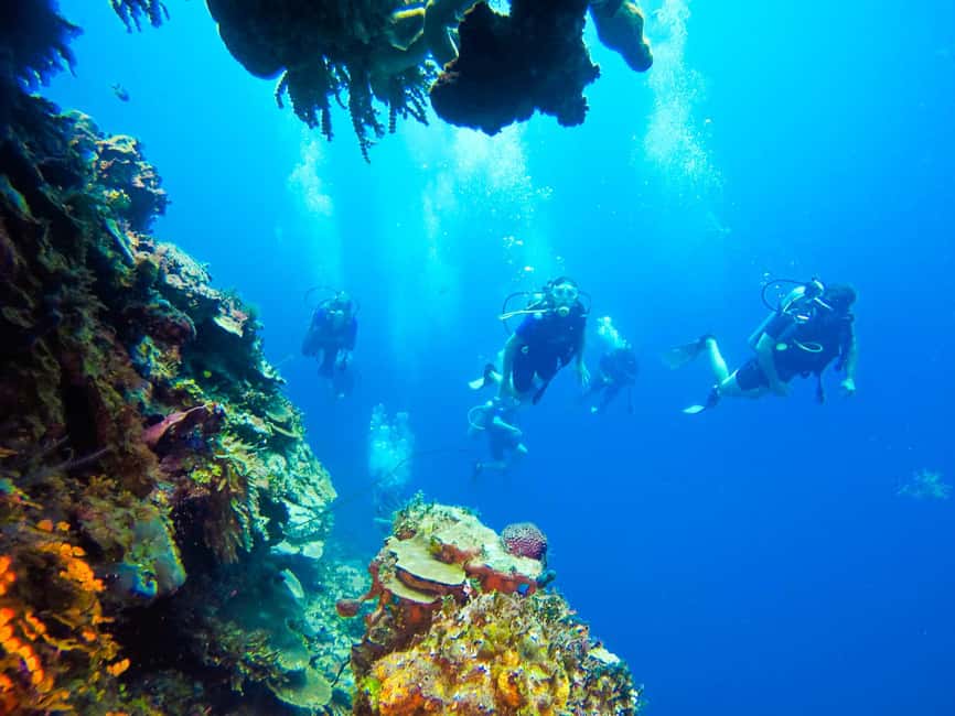Punta Cana: Scuba Diving Adventure to Catalina Island - Is $155 a fair price for this Catalina Island day?