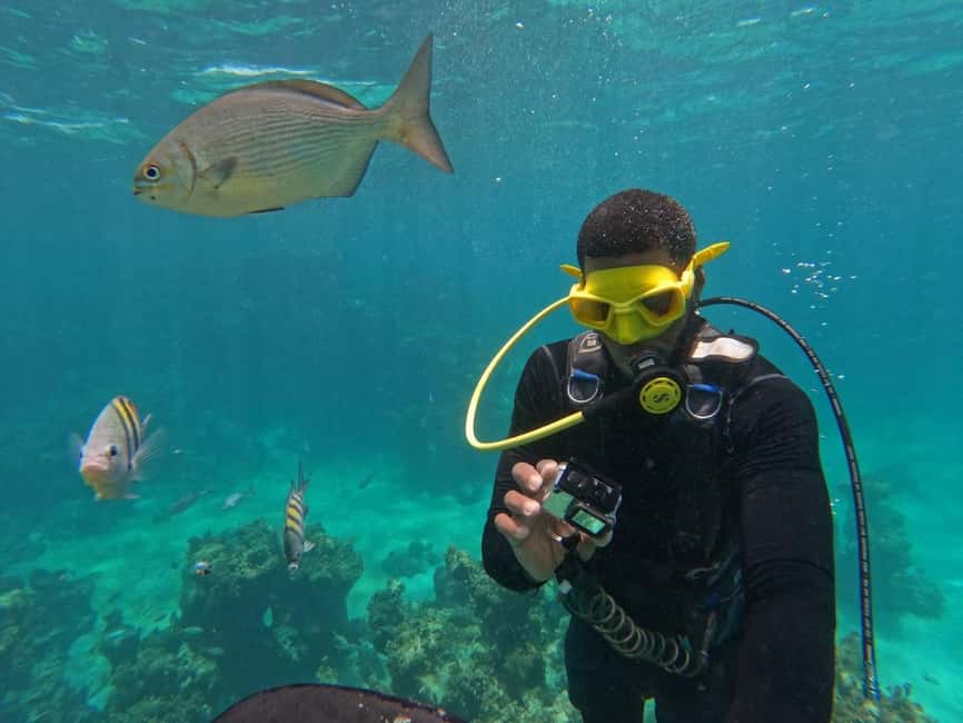 Punta Cana: Scuba Doo Adventure with Round-Trip Transfer - Timing, comfort, and what is not included