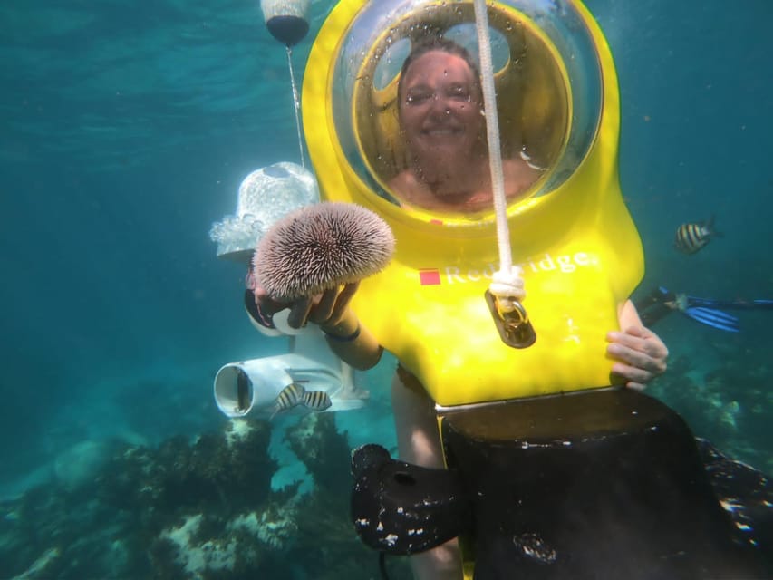 Punta Cana: Scuba Doo Underwater Scooter Adventure - What you see from the underwater scooter