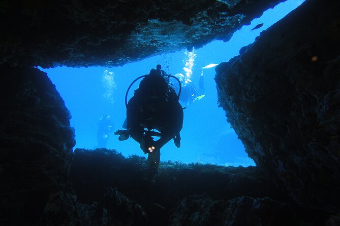 Qualified Diver 1 Tank Dive in Mykonos - Shore entry or boat outing?