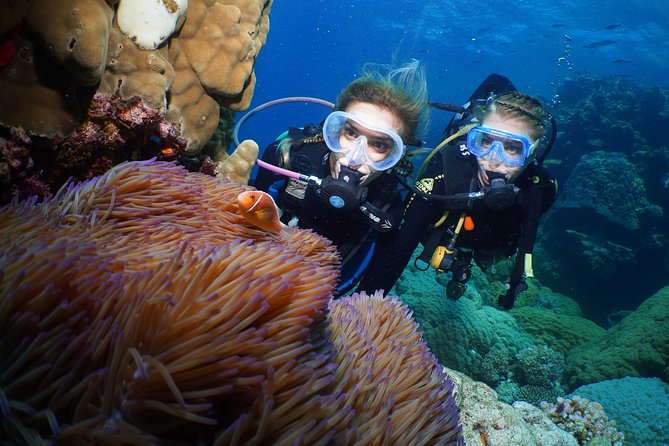 Quicksilver Dive 4 Day PADI Learn to Dive Course - Key points to know before booking